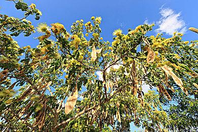 恐怖版CF来了！《穿越火线：虹》公布、实机首曝